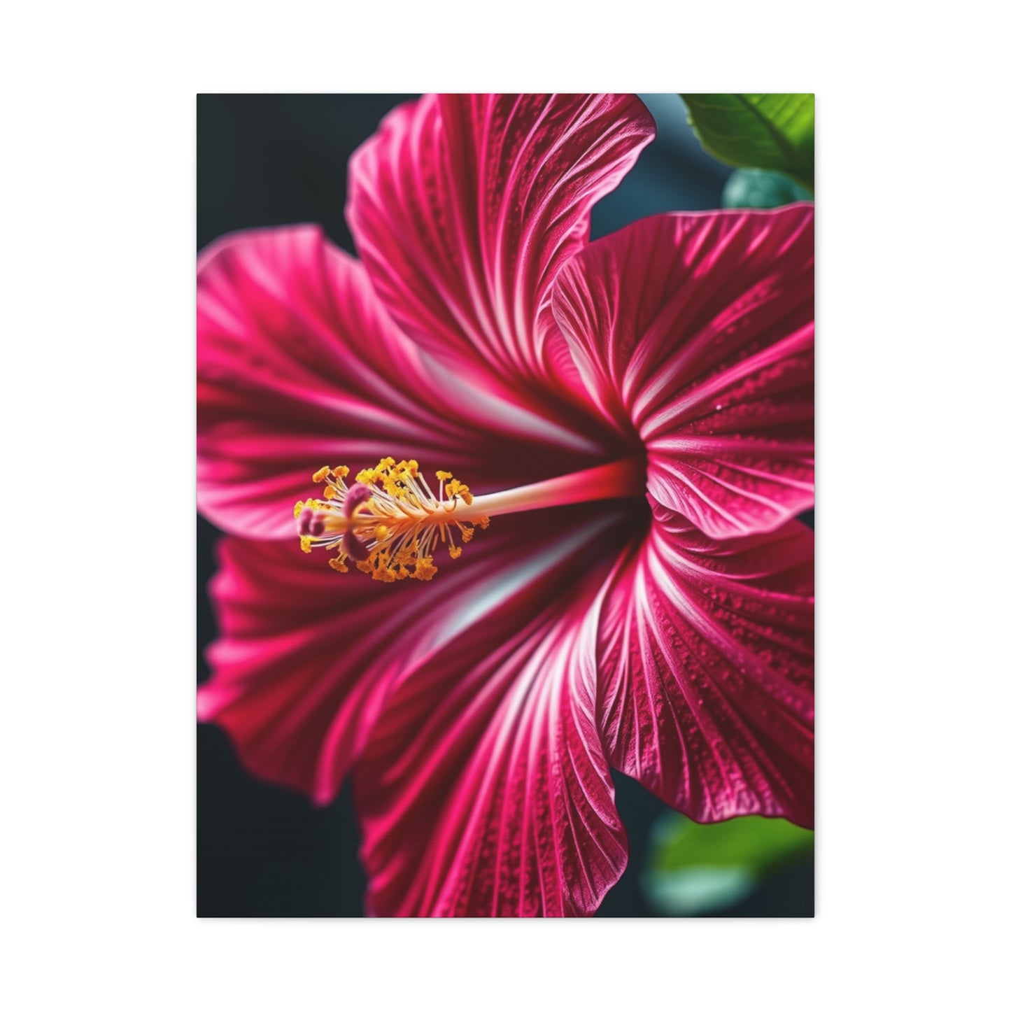 Collection Hibiscus Flower Art Wall Art & Canvas Print