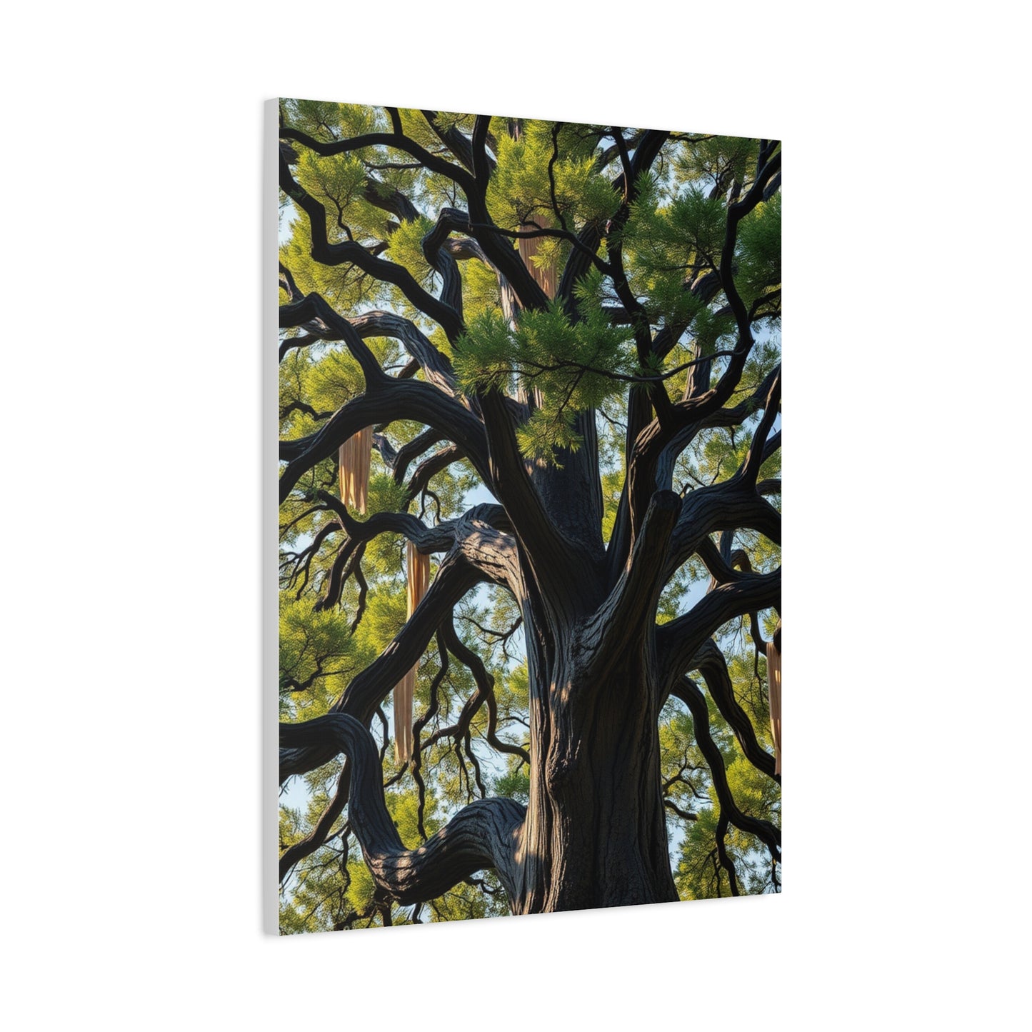 Supreme Oak Tree Art Collection Wall Art & Canvas Print