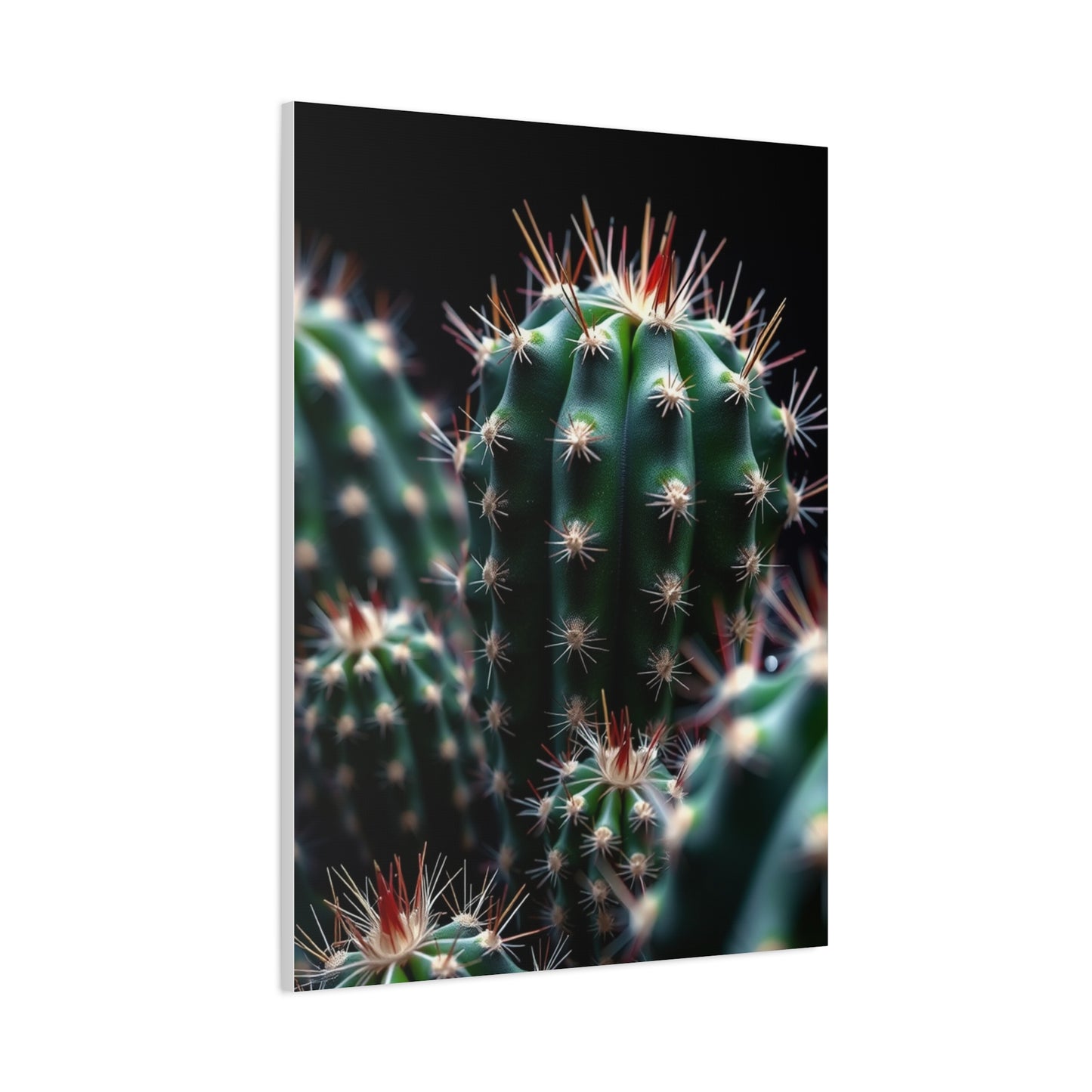 Verdant Desert Dreams Wall Art & Canvas Print