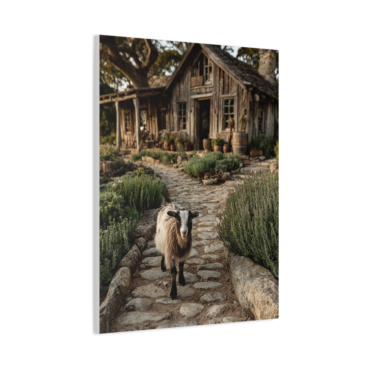 Farmhouse Garden Path with Goat Wall Art & Canvas Print