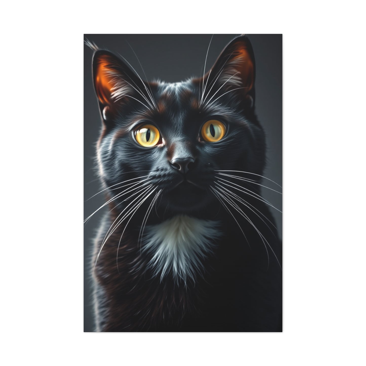 Supreme Tuxedo Cat Art Wall Art & Canvas Print