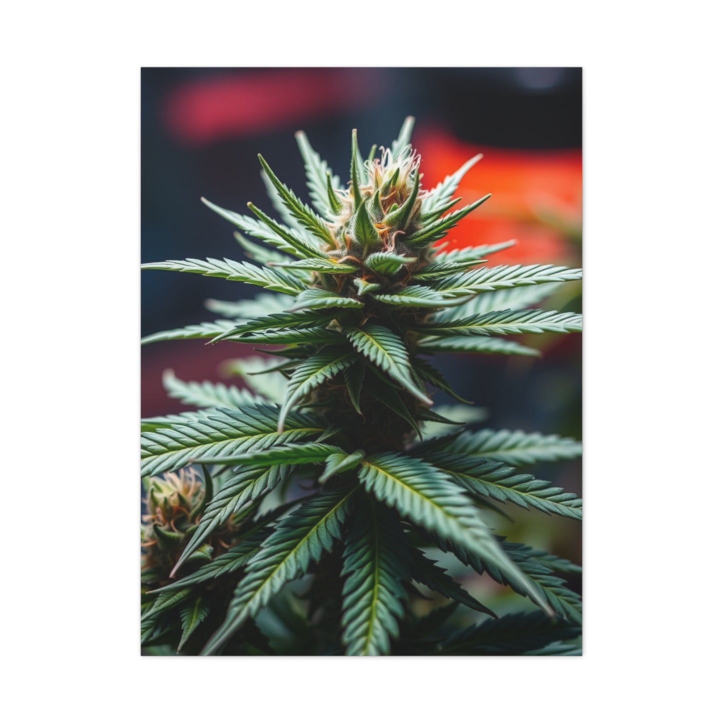 Herbaceous Ambience Gallery Wall Art & Canvas Print