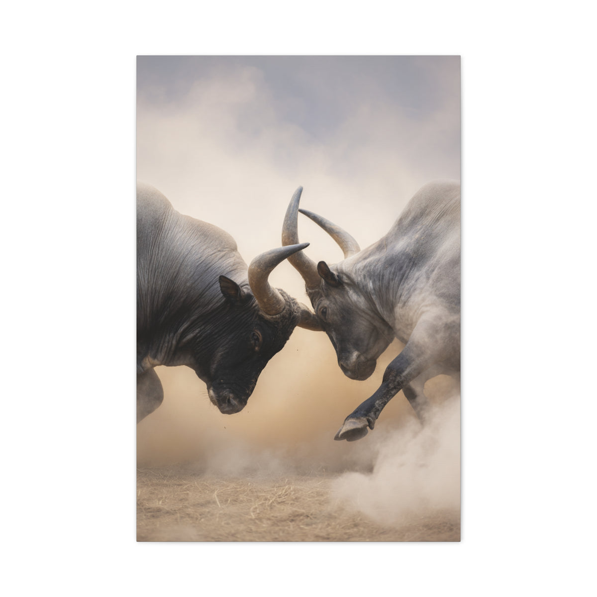 Bulls Clashing Horns Dramatic Wildlife Wall Art & Canvas Print