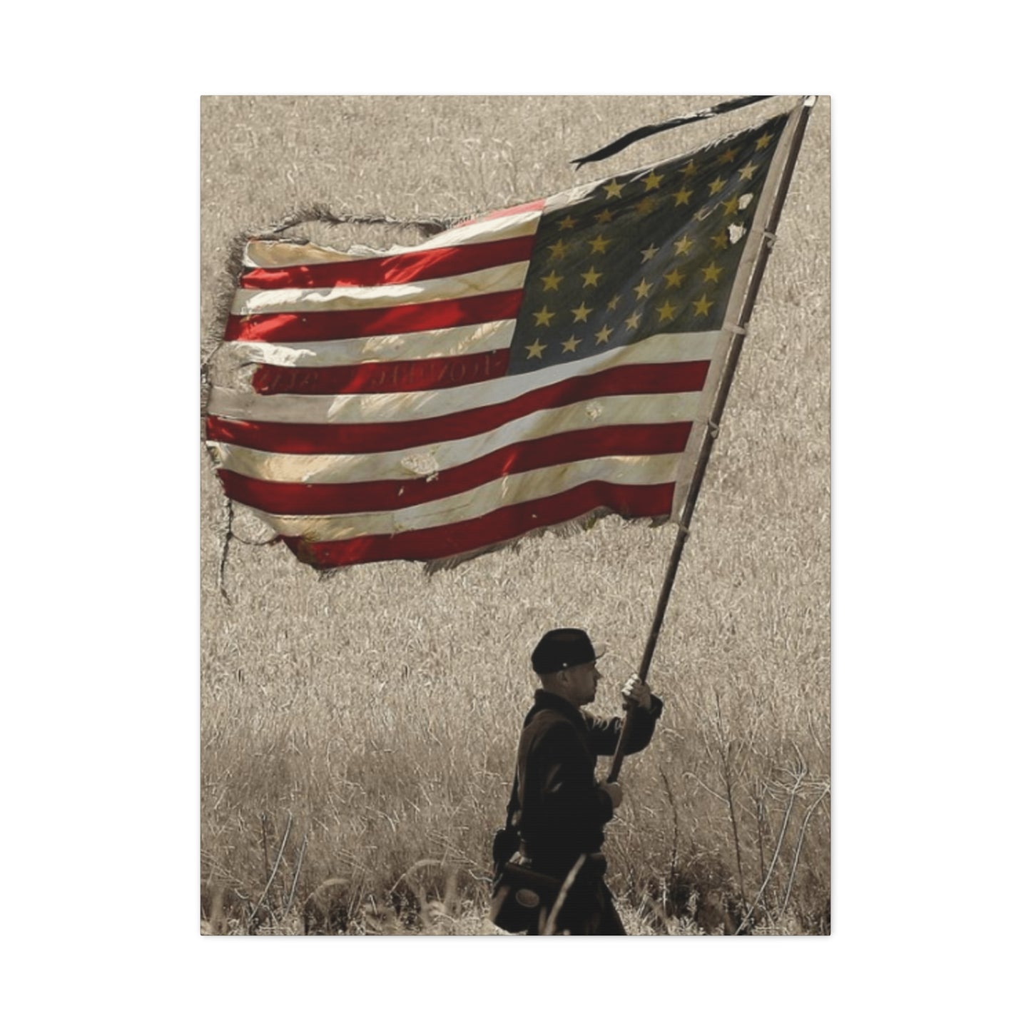Man Carrying Flag Range Wall Art & Canvas Prints