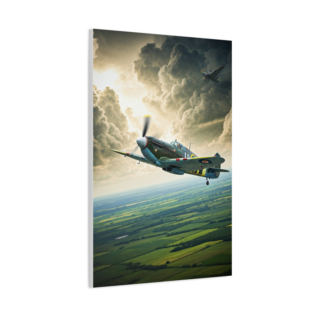 Classic Propeller Plane Over Open Fields Wall Art & Canvas Prints