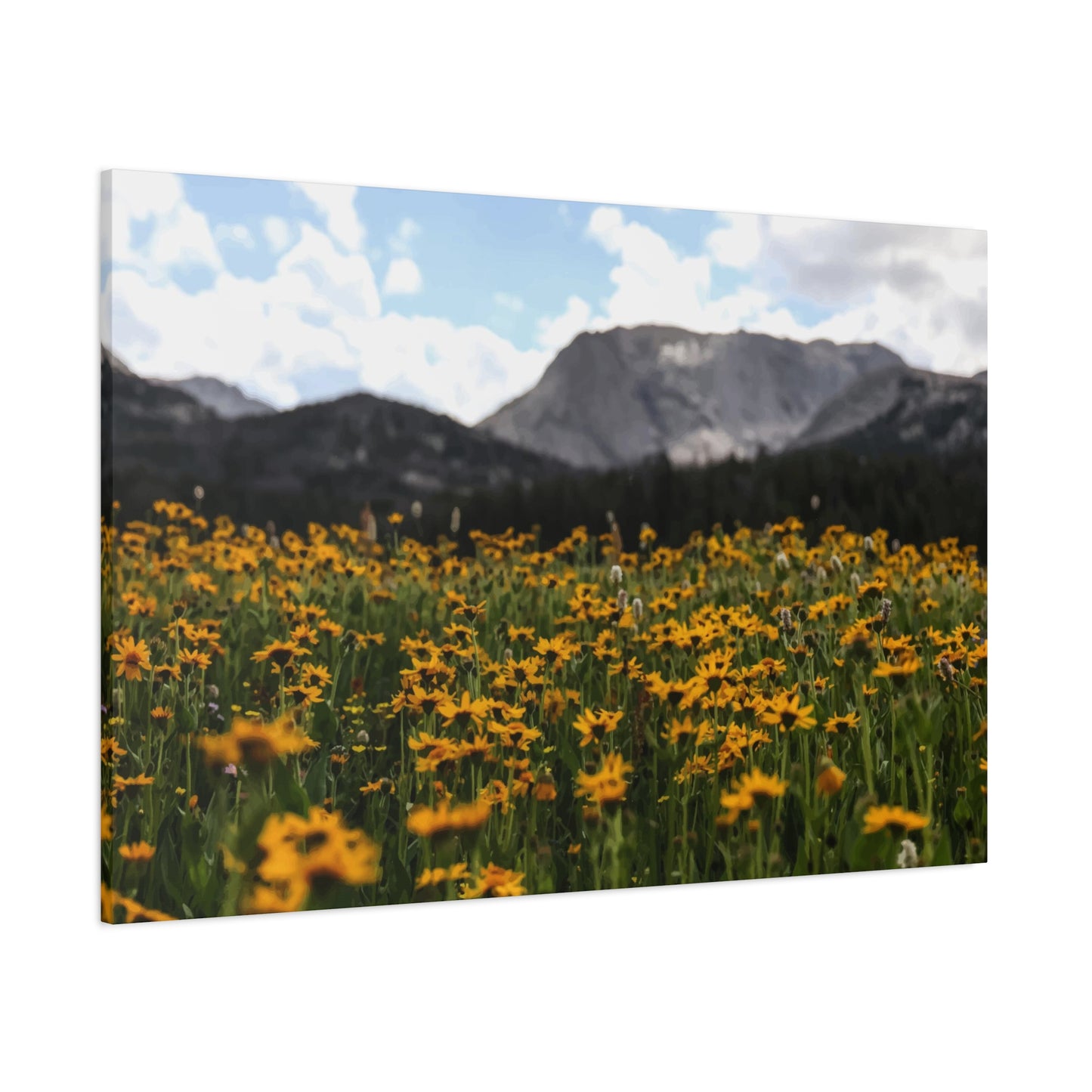 Sunflower Garden Wall Art & Canvas Prints