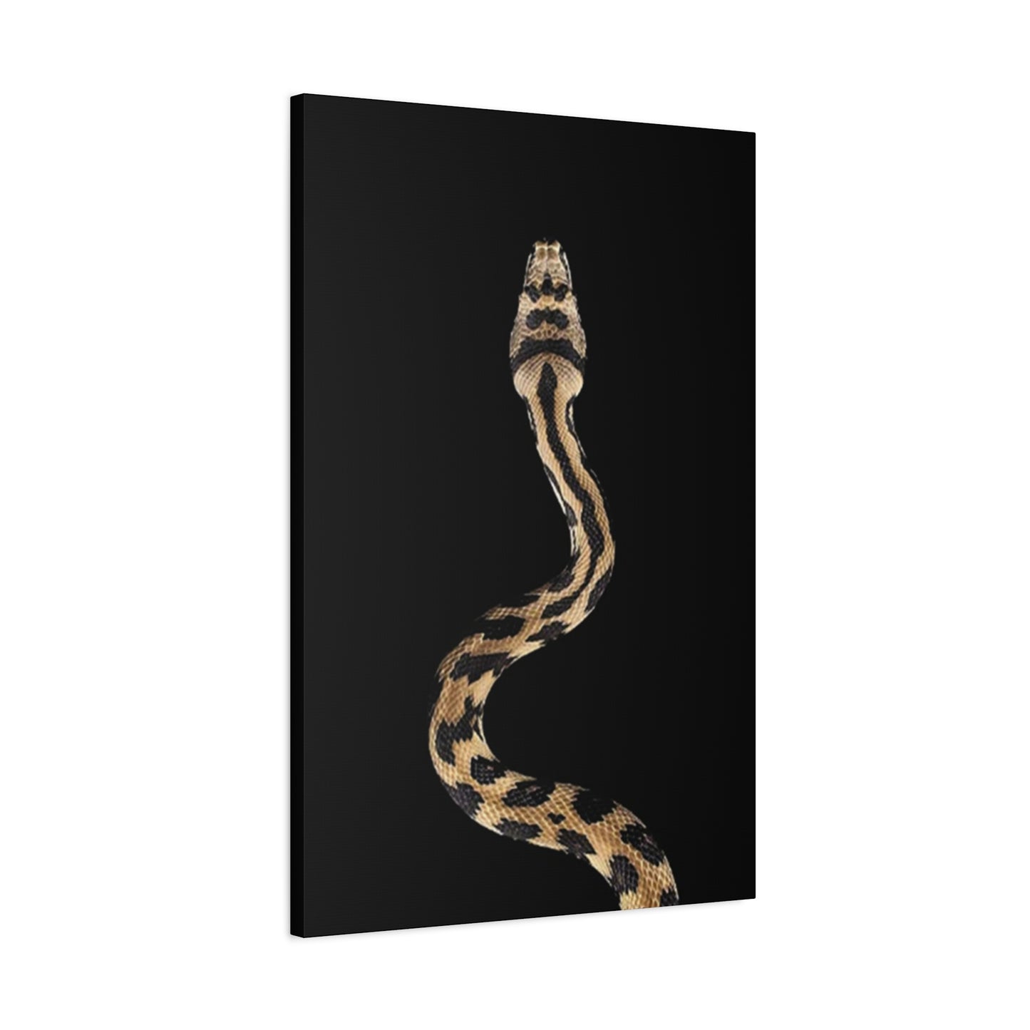 Snake On Poster Wall Art & Canvas Prints