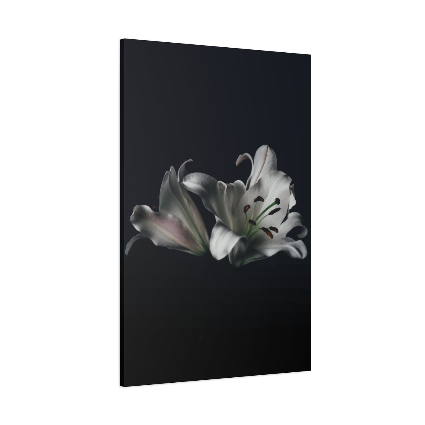 Black Flower Wall Art & Canvas Prints