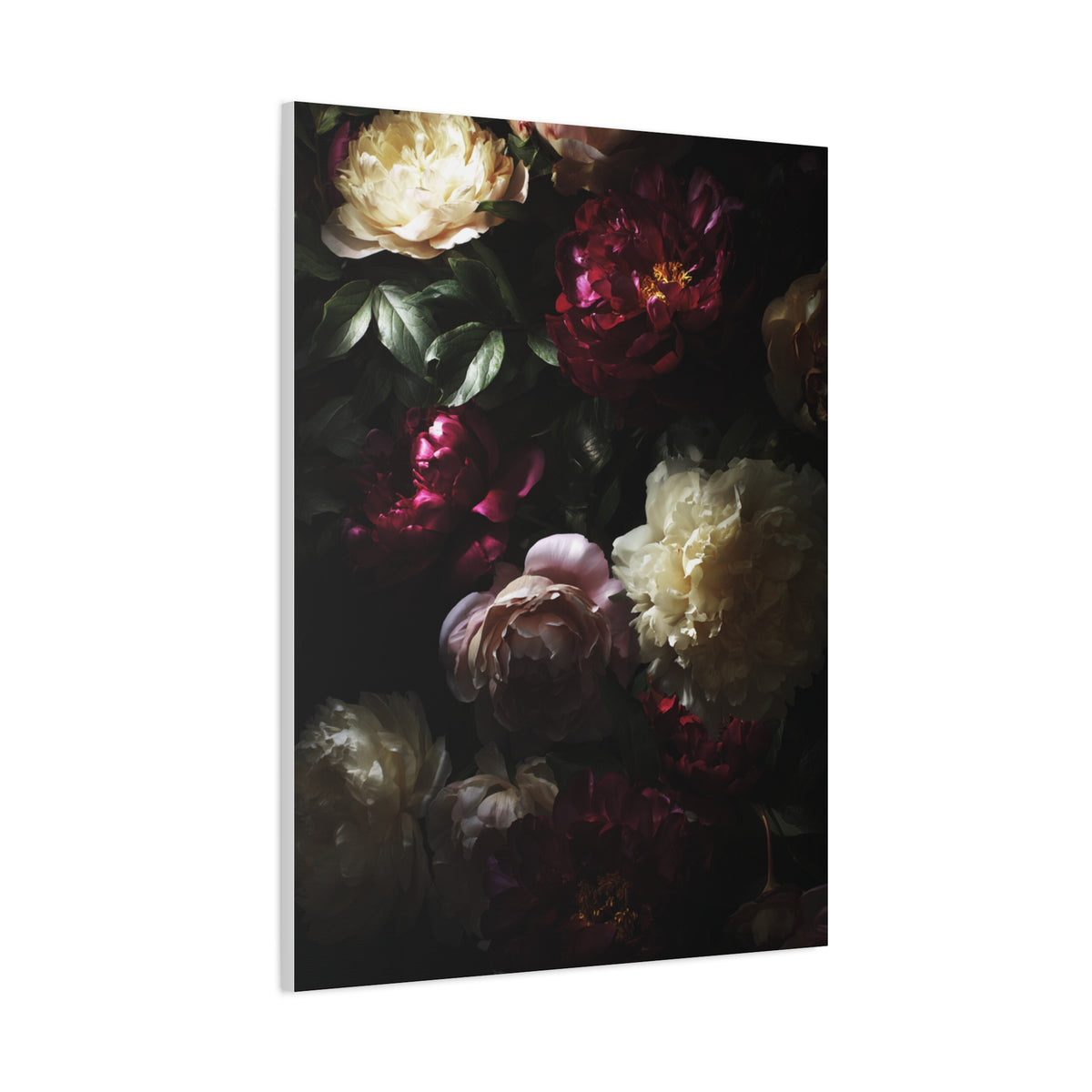 Luminous Peonies on Dark Background Wall Art & Canvas Print