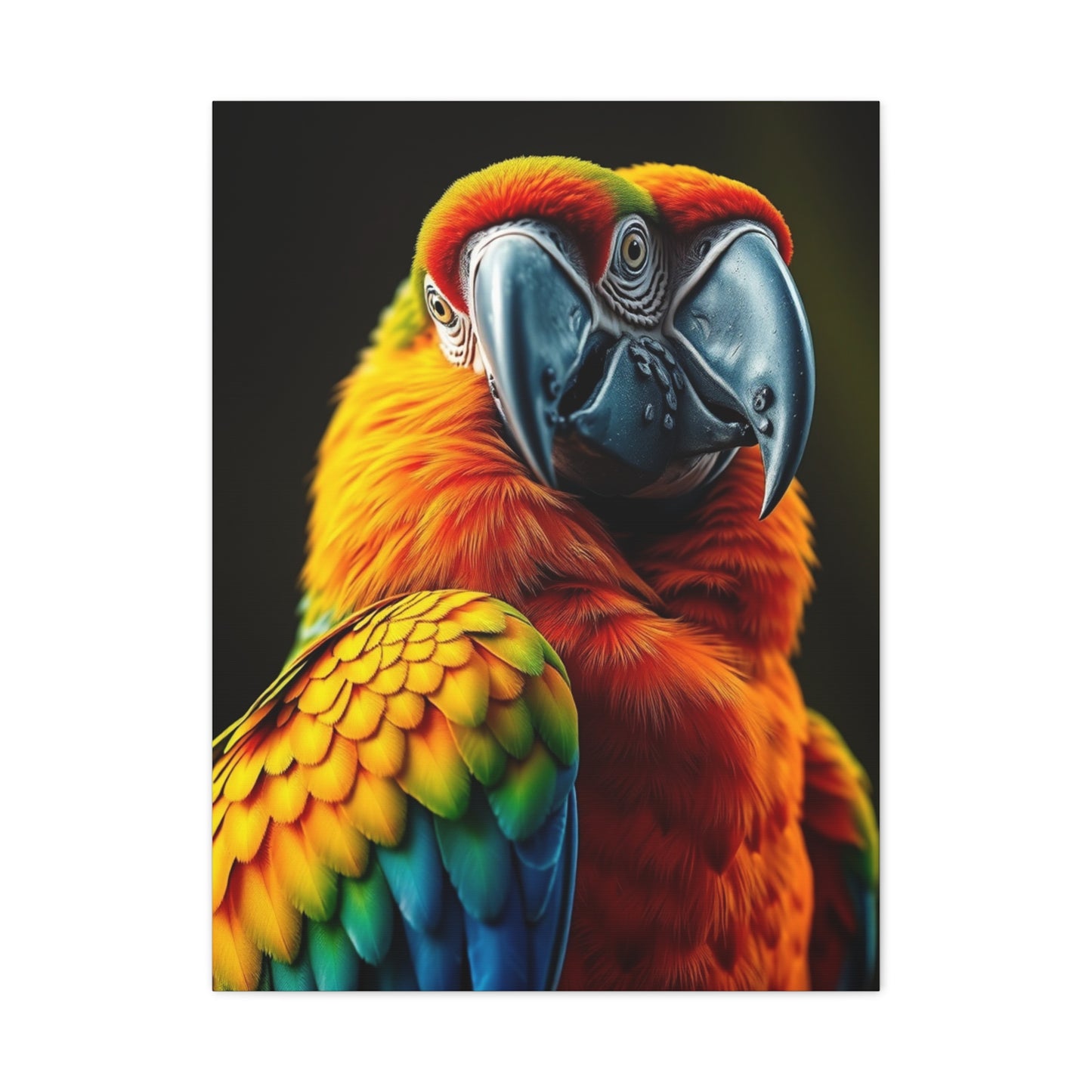 Supreme Parrot Art Wall Art & Canvas Print