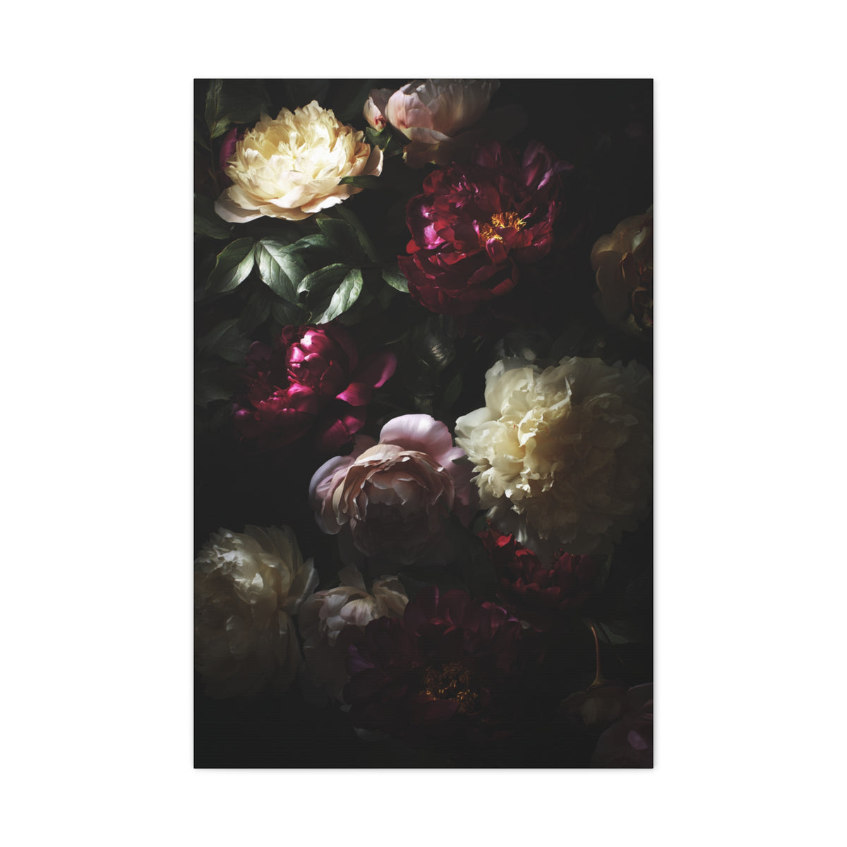Luminous Peonies on Dark Background Wall Art & Canvas Print