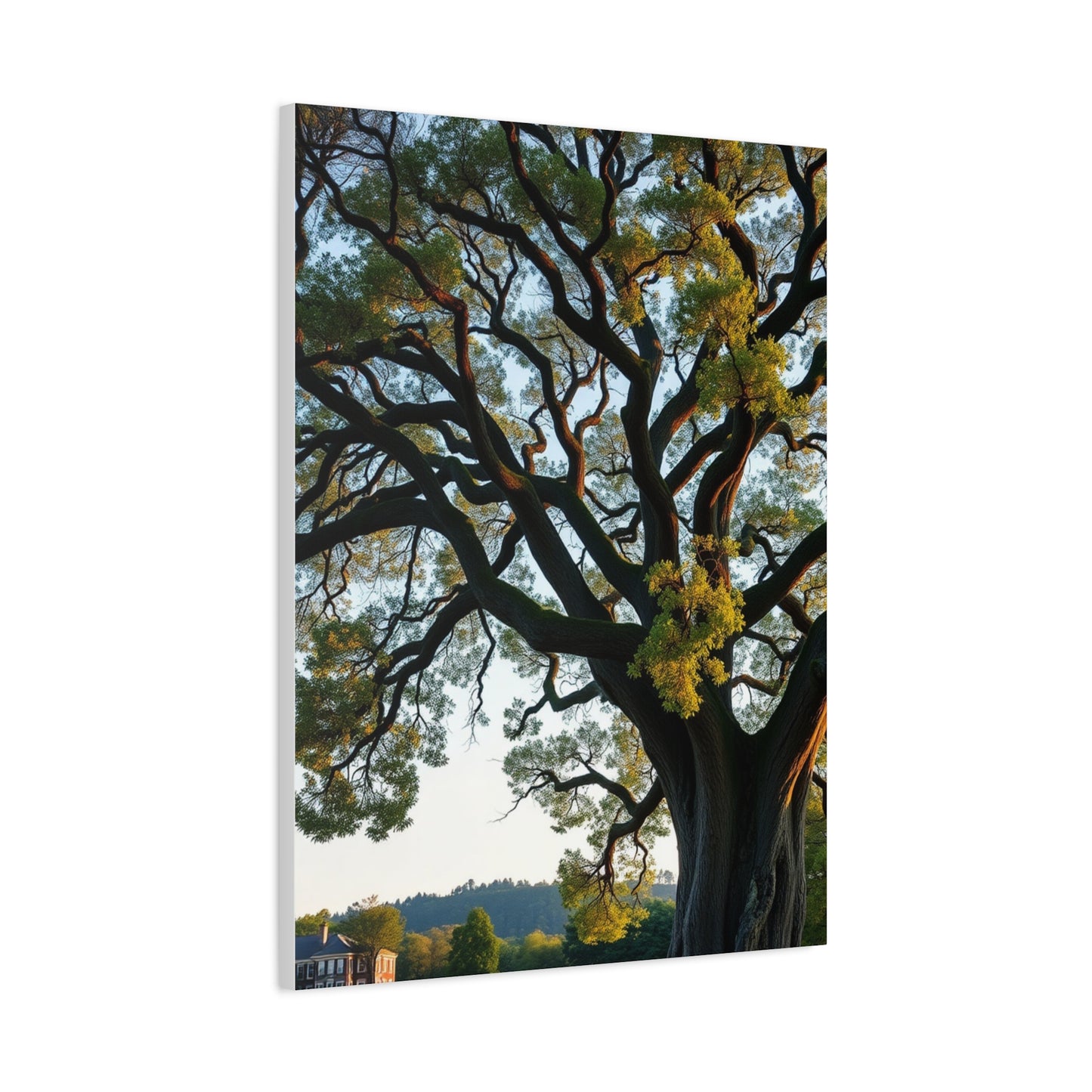 Oak Tree Art Refined Canvas Wall Art & Canvas Print