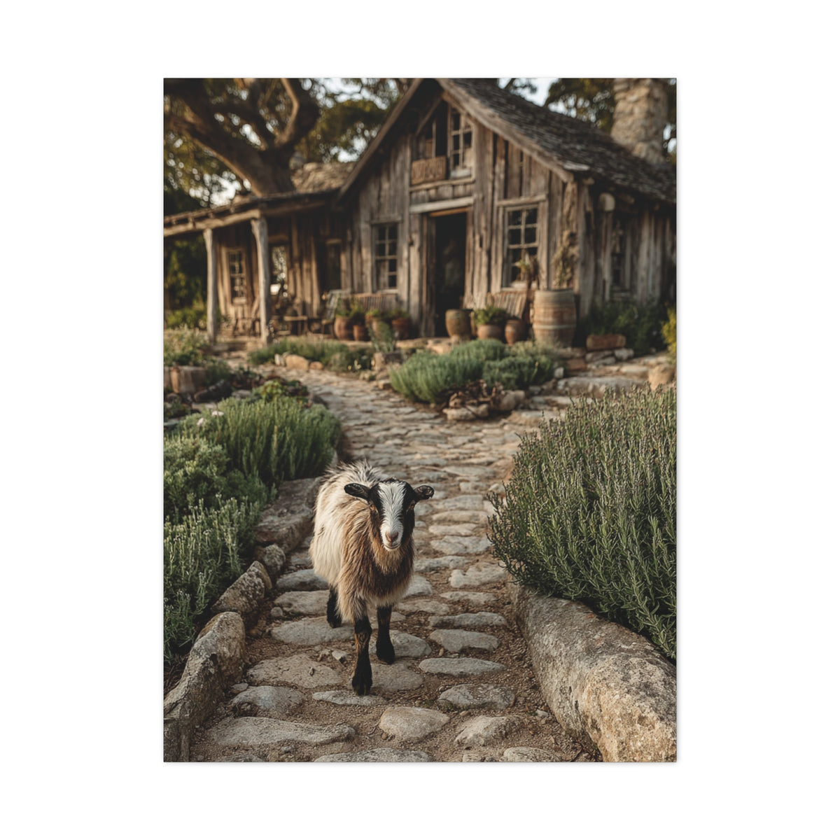 Farmhouse Garden Path with Goat Wall Art & Canvas Print