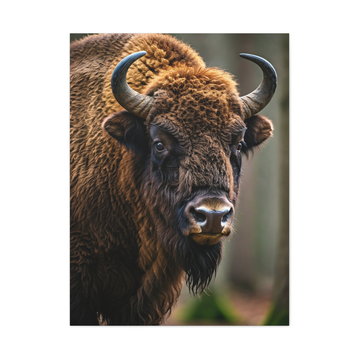 Wood Bison Close-Up with Soft Forest Backdrop Wall Art & Canvas Print