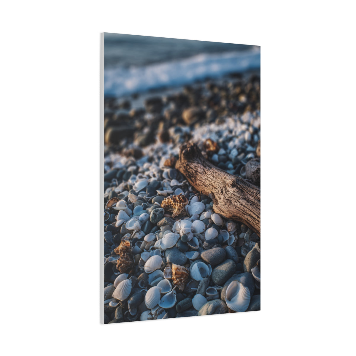Rocky Shoreline with Seashells and Driftwood Wall Art & Canvas Print