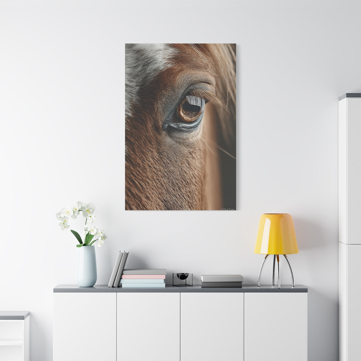 Horse Eye Macro Emotional Detail Wall Art & Canvas Print