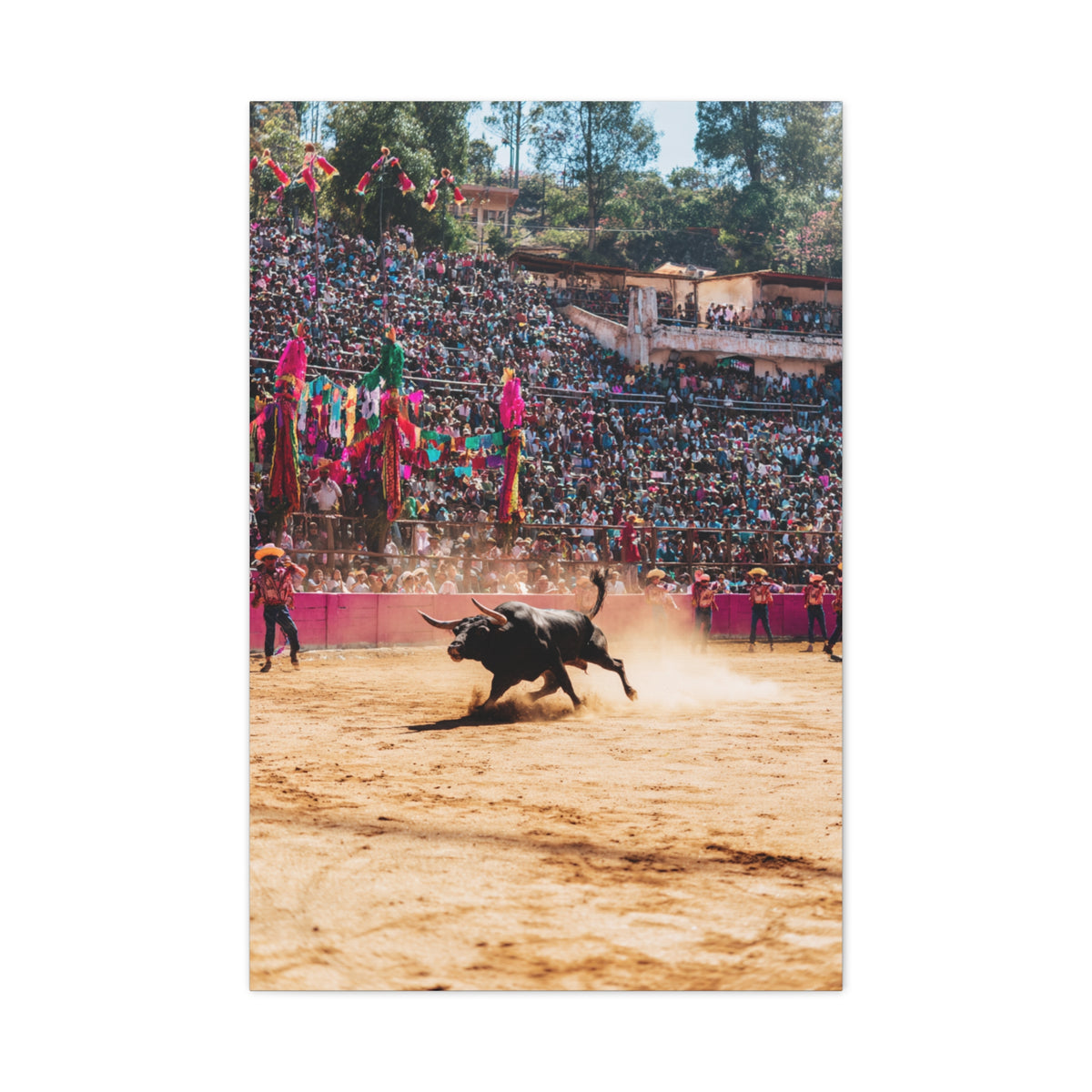 Latin American Bull Festival Arena Wall Art & Canvas Print