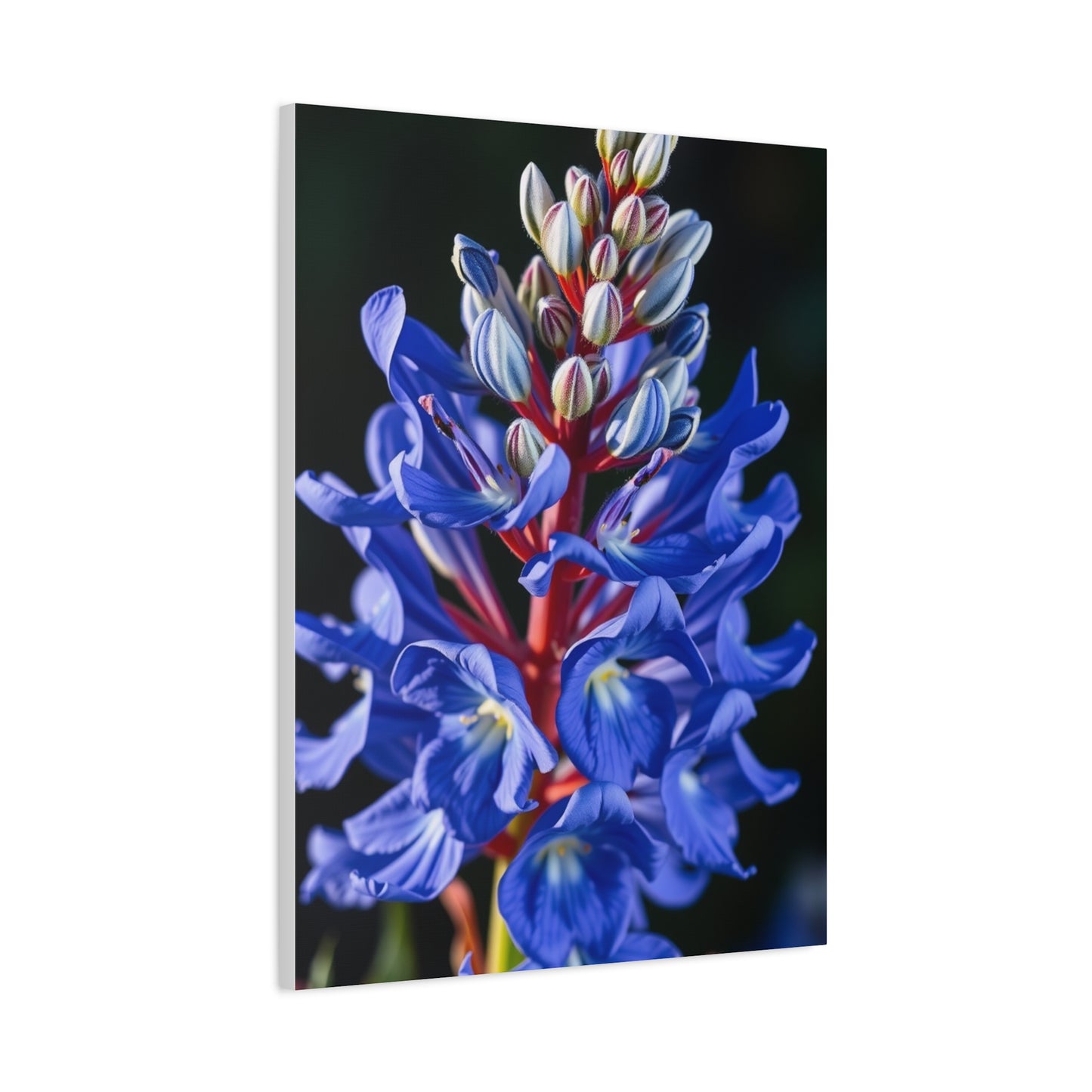 Elite Bluebonnet Flower Art Supreme Canvas Gallery Wall Art & Canvas Print
