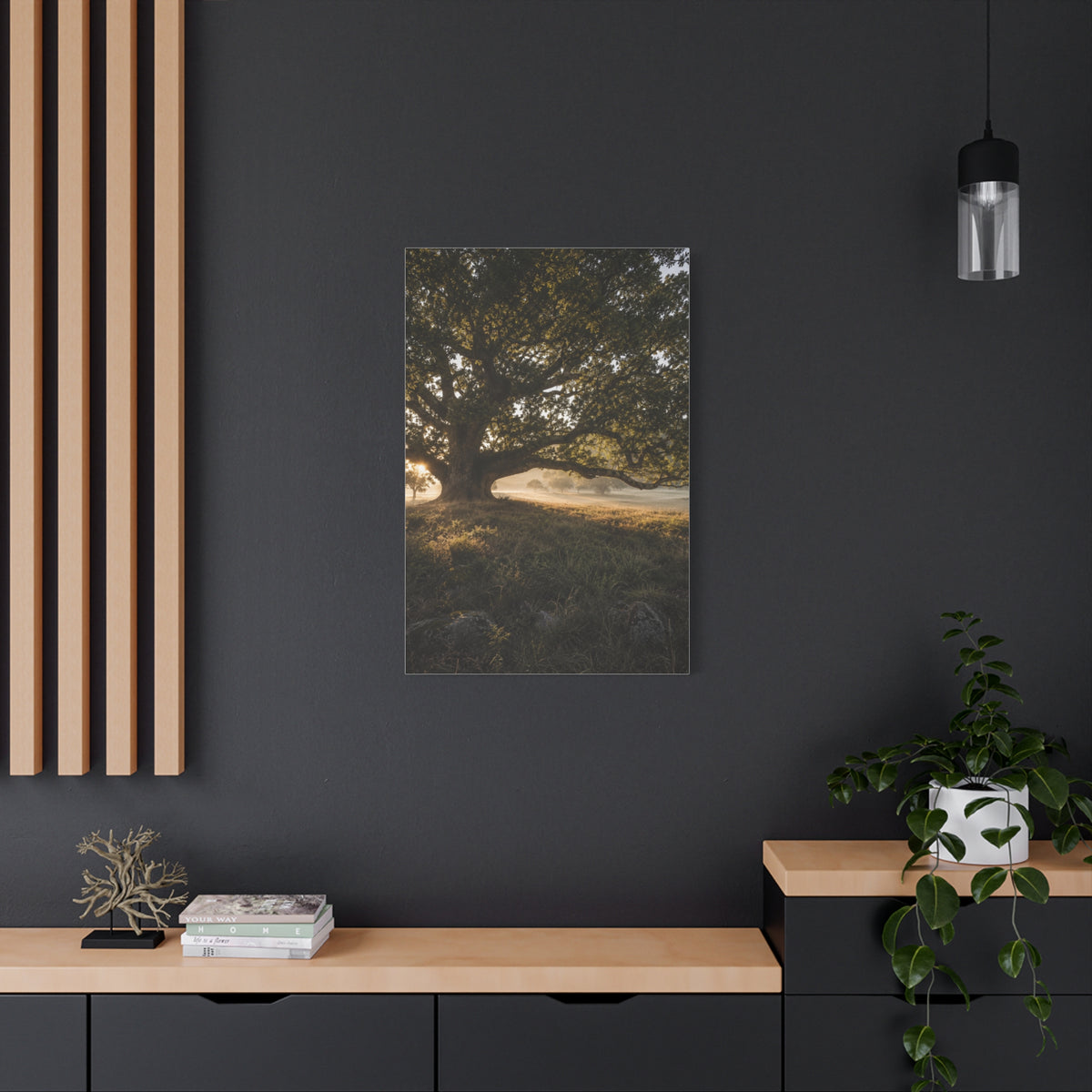 Ancient Oak Golden Dawn Landscape Trees Wall Art & Canvas Print