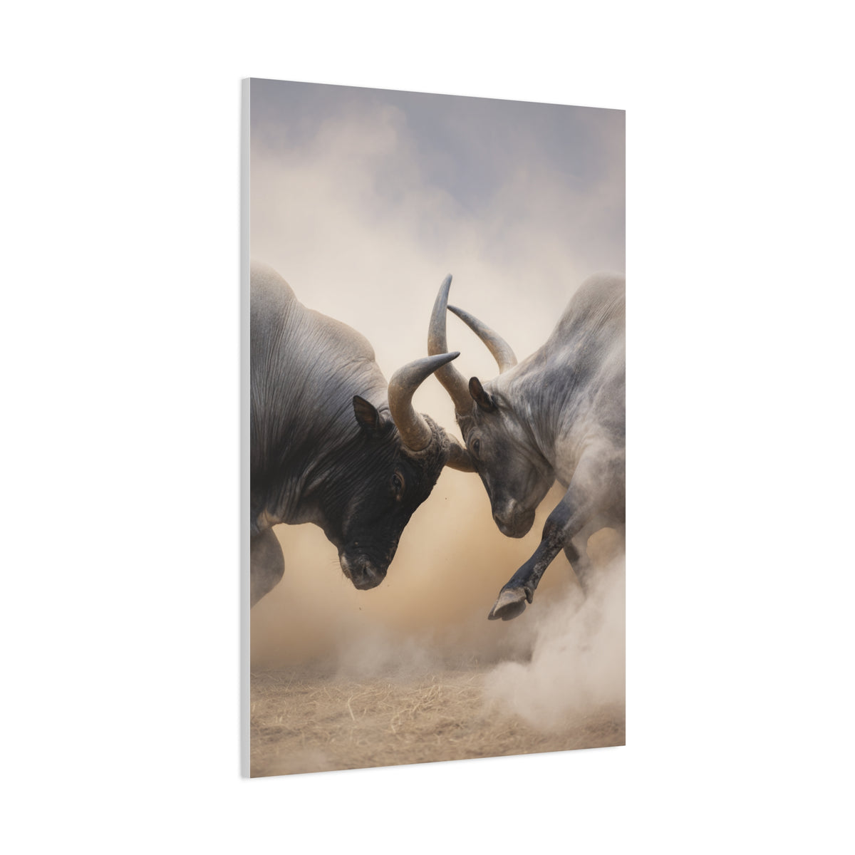 Bulls Clashing Horns Dramatic Wildlife Wall Art & Canvas Print