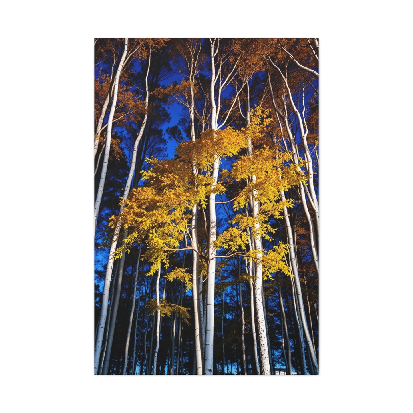 Vision Aspen Tree Art Art Wall Art & Canvas Print