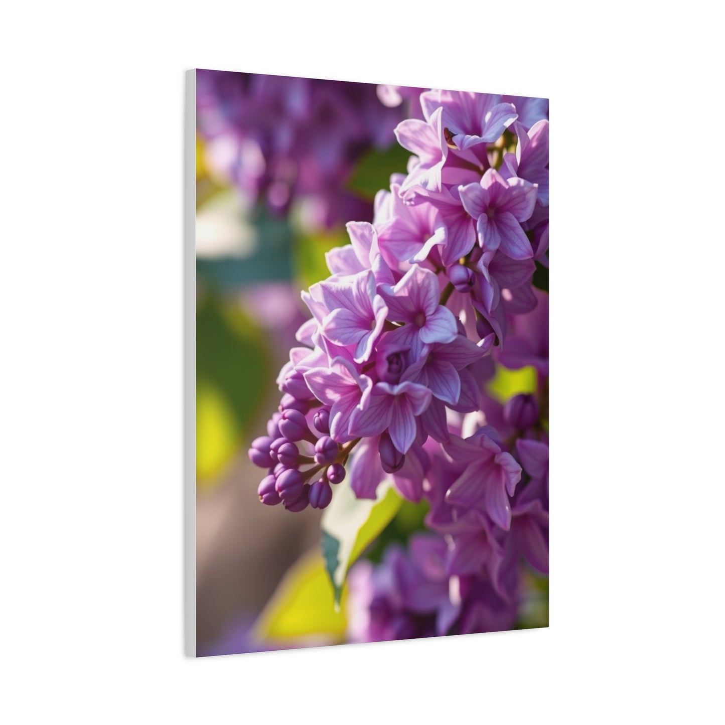 Lilac Flower Art Supreme Canvas Wall Art & Canvas Print