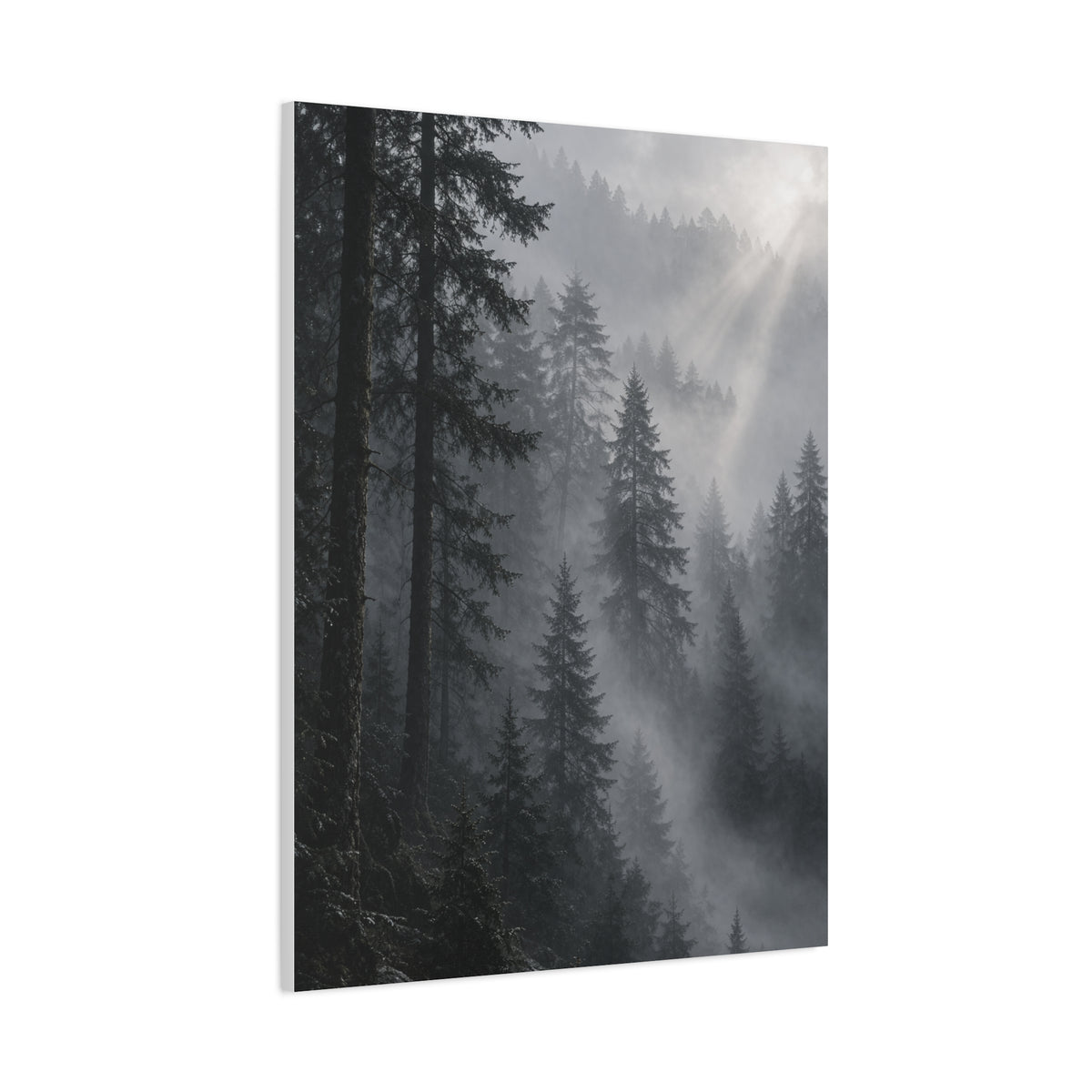 Misty Pine Forest Light Wall Art & Canvas Print
