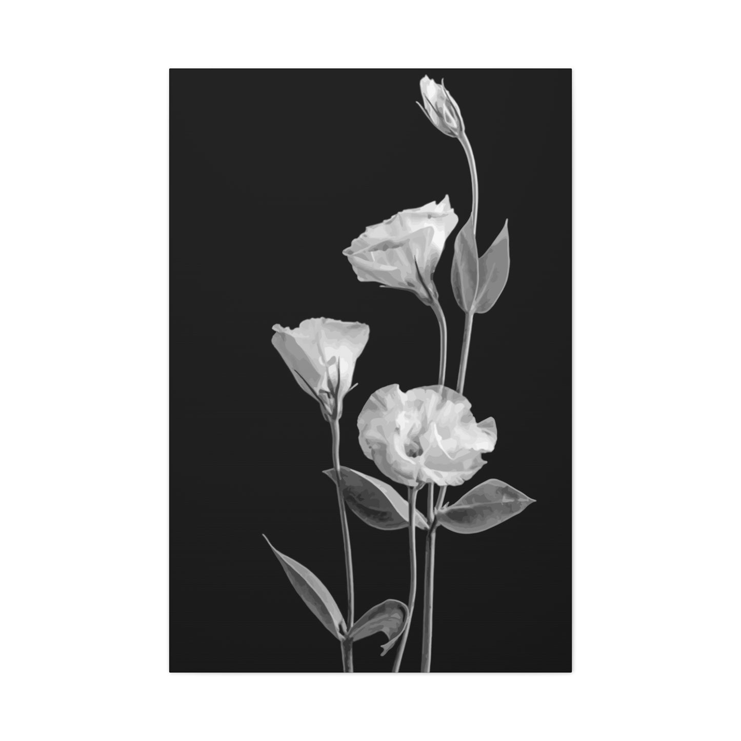 Black and White Flower Wall Art & Canvas Prints