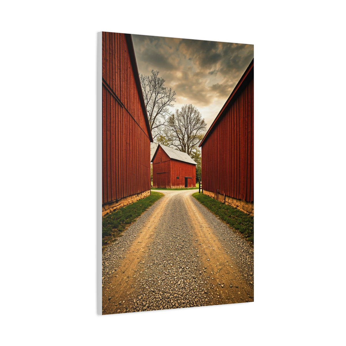 Country Lane Between Red Barns Wall Art & Canvas Prints
