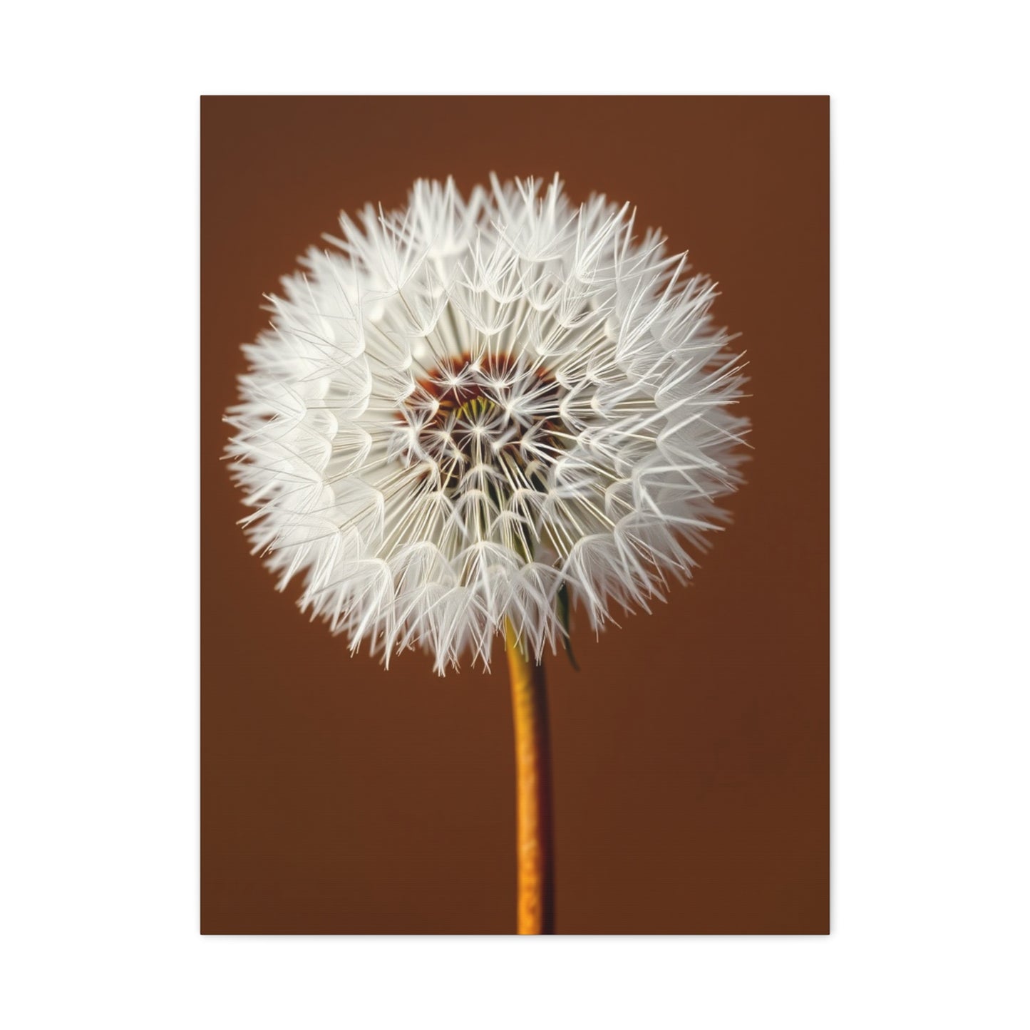 Supreme Dandelion Flower Art Wall Art & Canvas Print