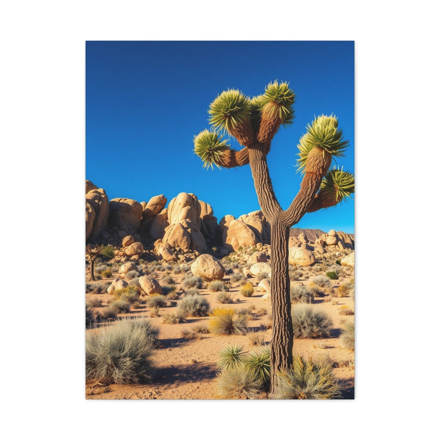 Joshua Tree National Park Art Luxury Canvas Wall Art & Canvas Print