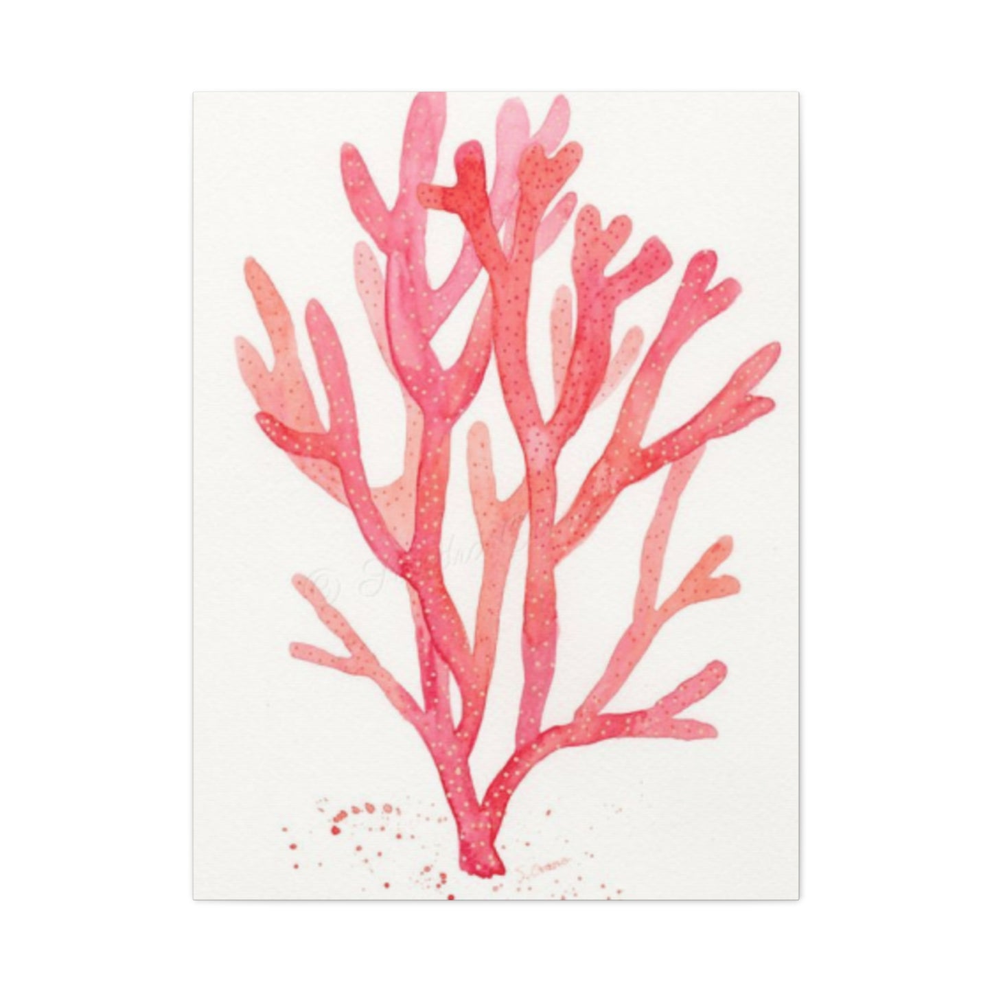 Pink Sea Coral Wall Art & Canvas Prints