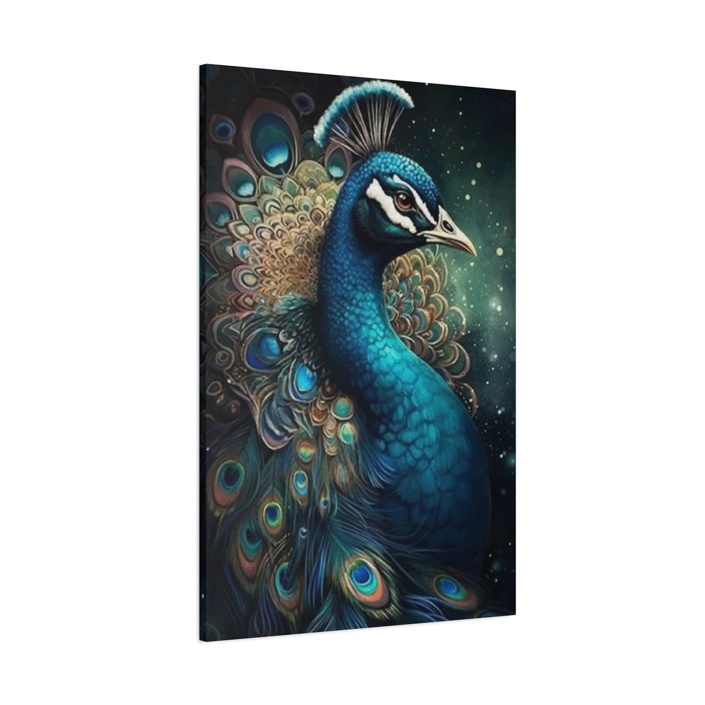 Peacock Wall Art & Canvas Prints