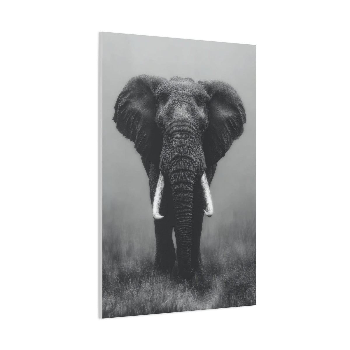 Black and White Elephant Portrait Wall Art & Canvas Prints