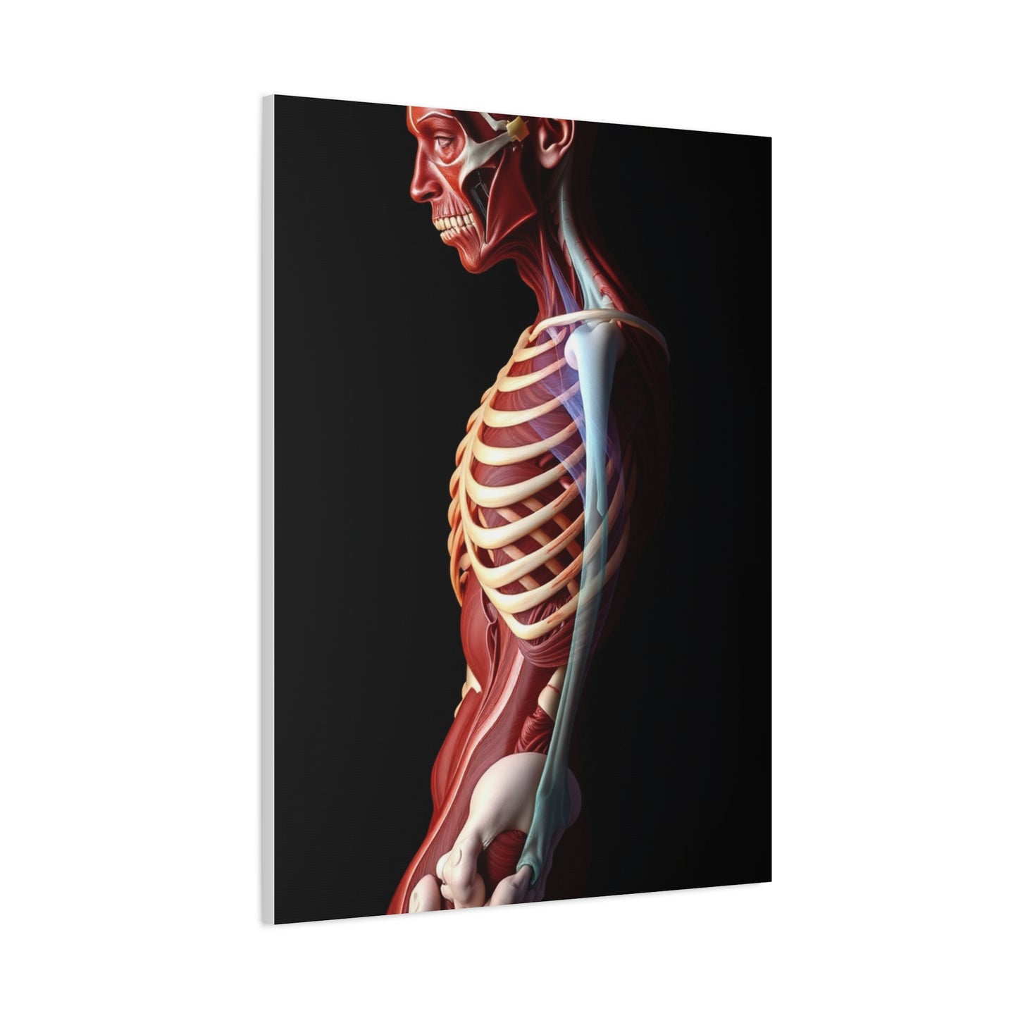 Supreme Anatomy Art Wall Art & Canvas Print