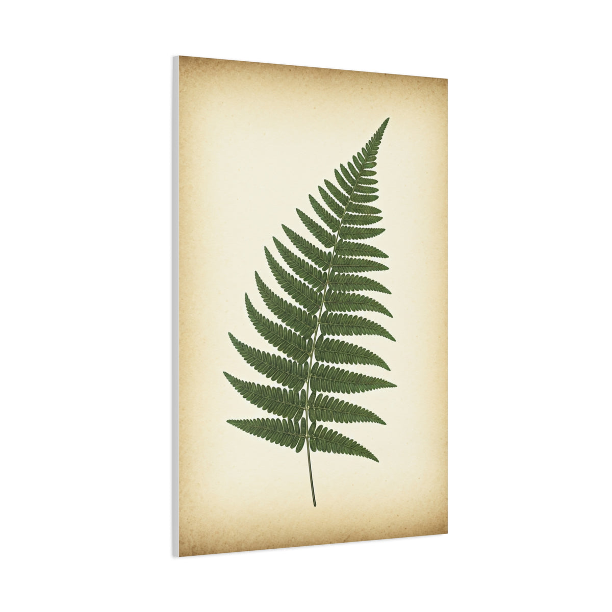 Fern Frond Illustration Wall Art & Canvas Prints
