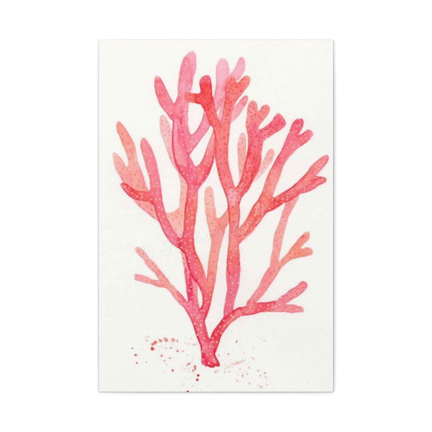Pink Sea Coral Wall Art & Canvas Prints