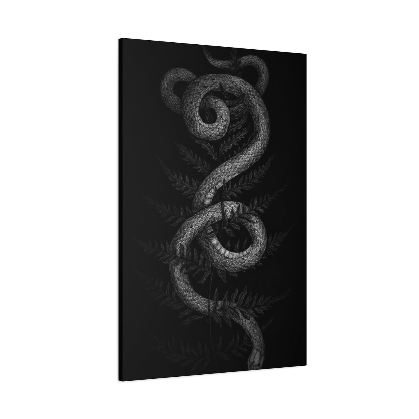 White Cobra Wall Art & Canvas Prints