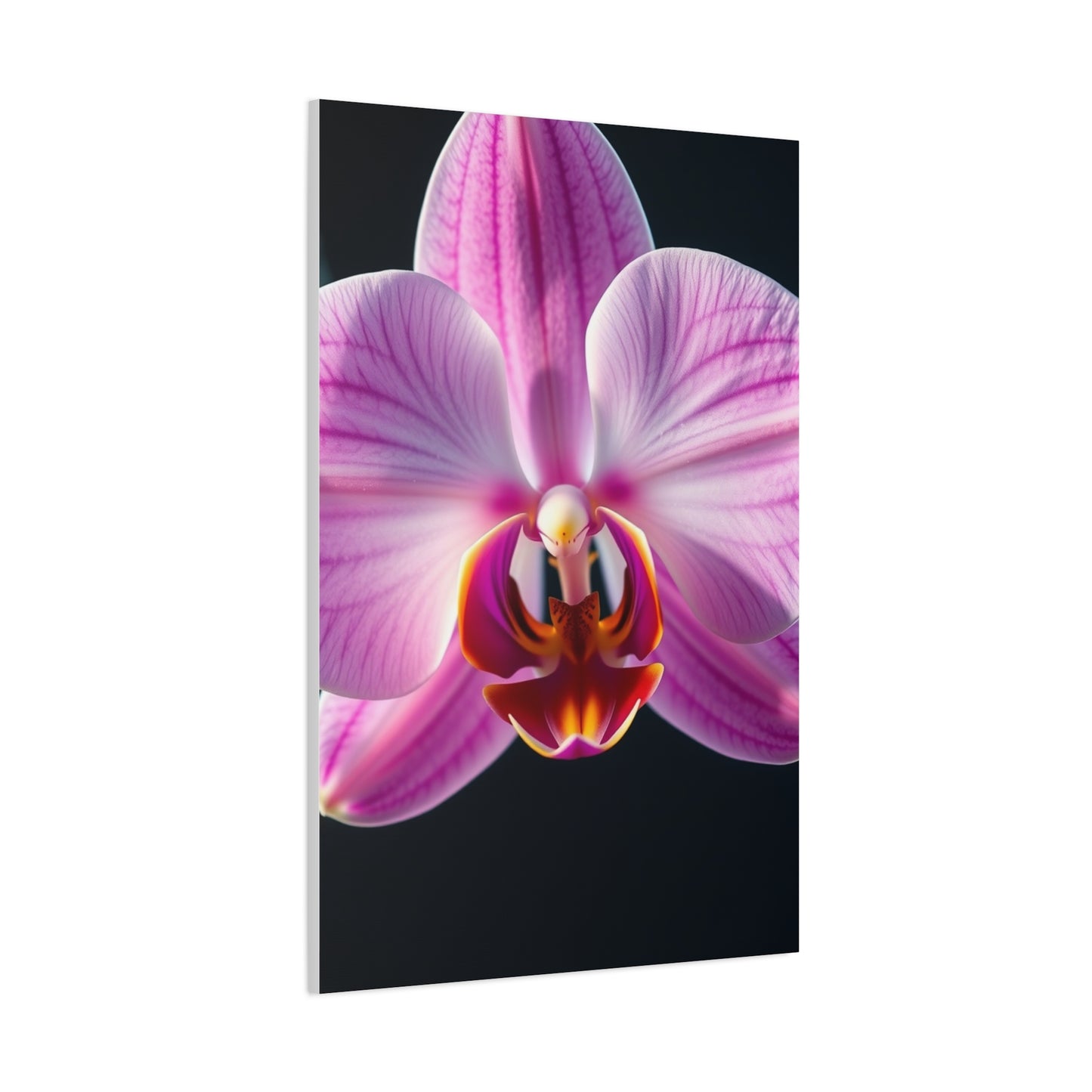 Supreme Orchid Flower Art Wall Art & Canvas Print