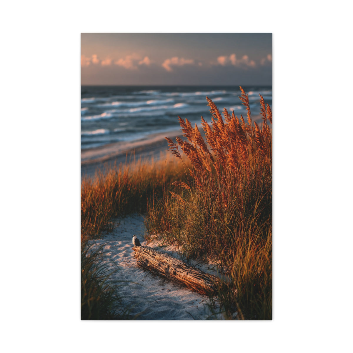 Golden Dune Driftwood Coastal Scene Wall Art & Canvas Print