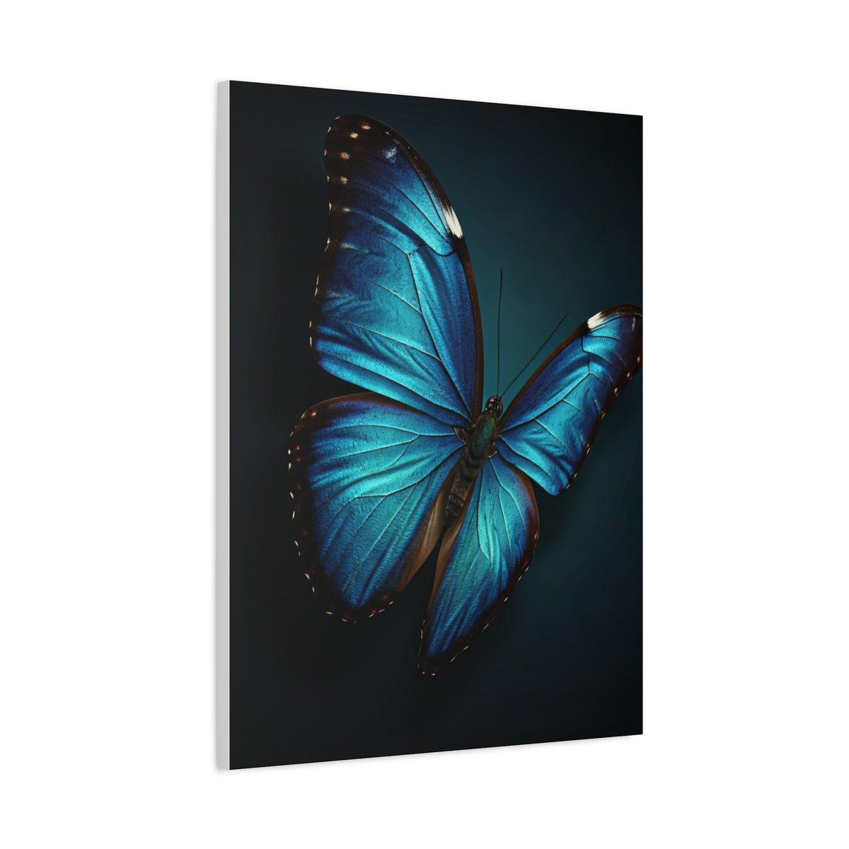 Blue Morpho Butterfly Wings Spread Wall Art & Canvas Prints