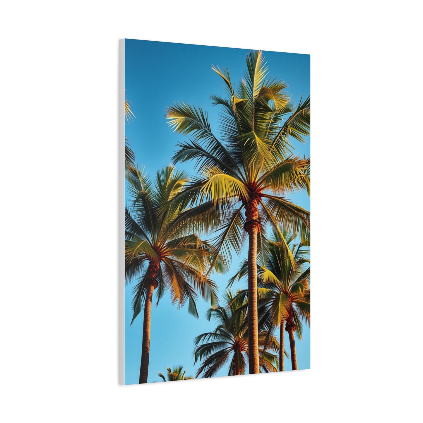 Tranquil Palmscape Wall Art & Canvas Print