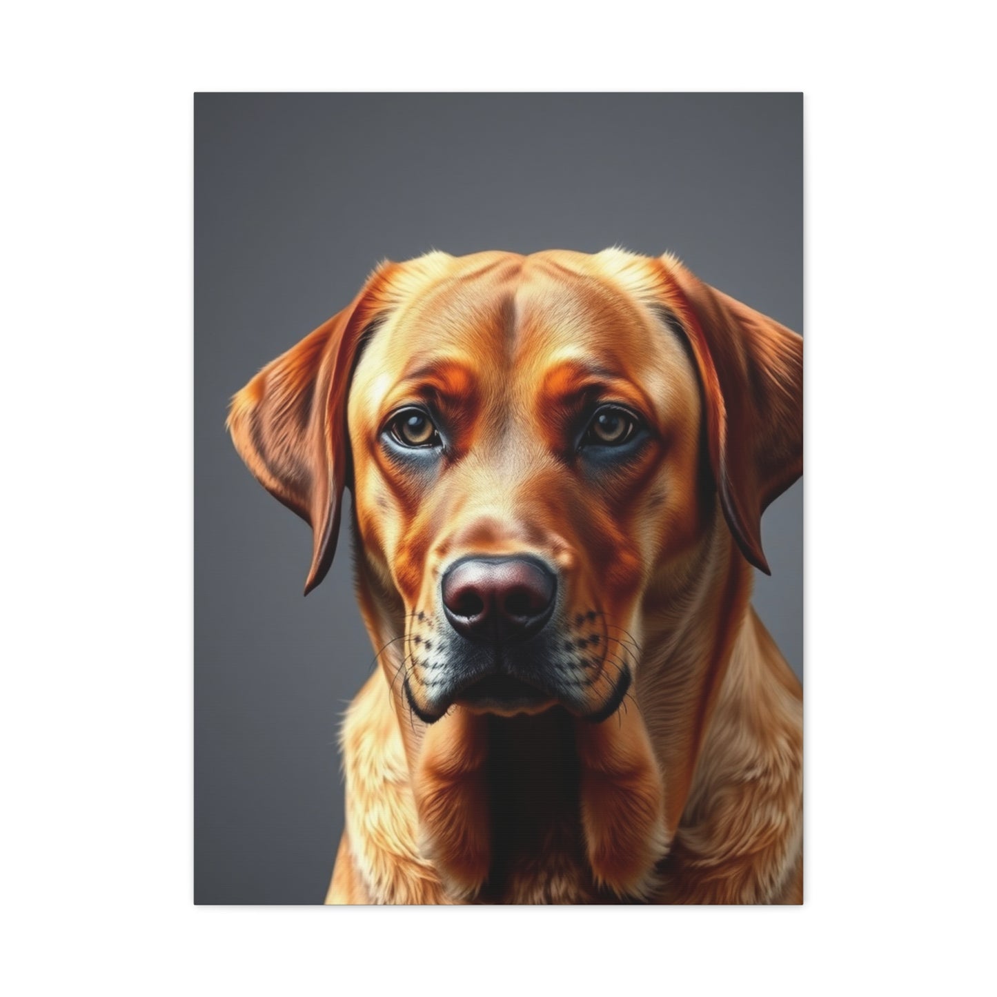 Labrador Retriever Art Supreme Canvas Wall Art & Canvas Print