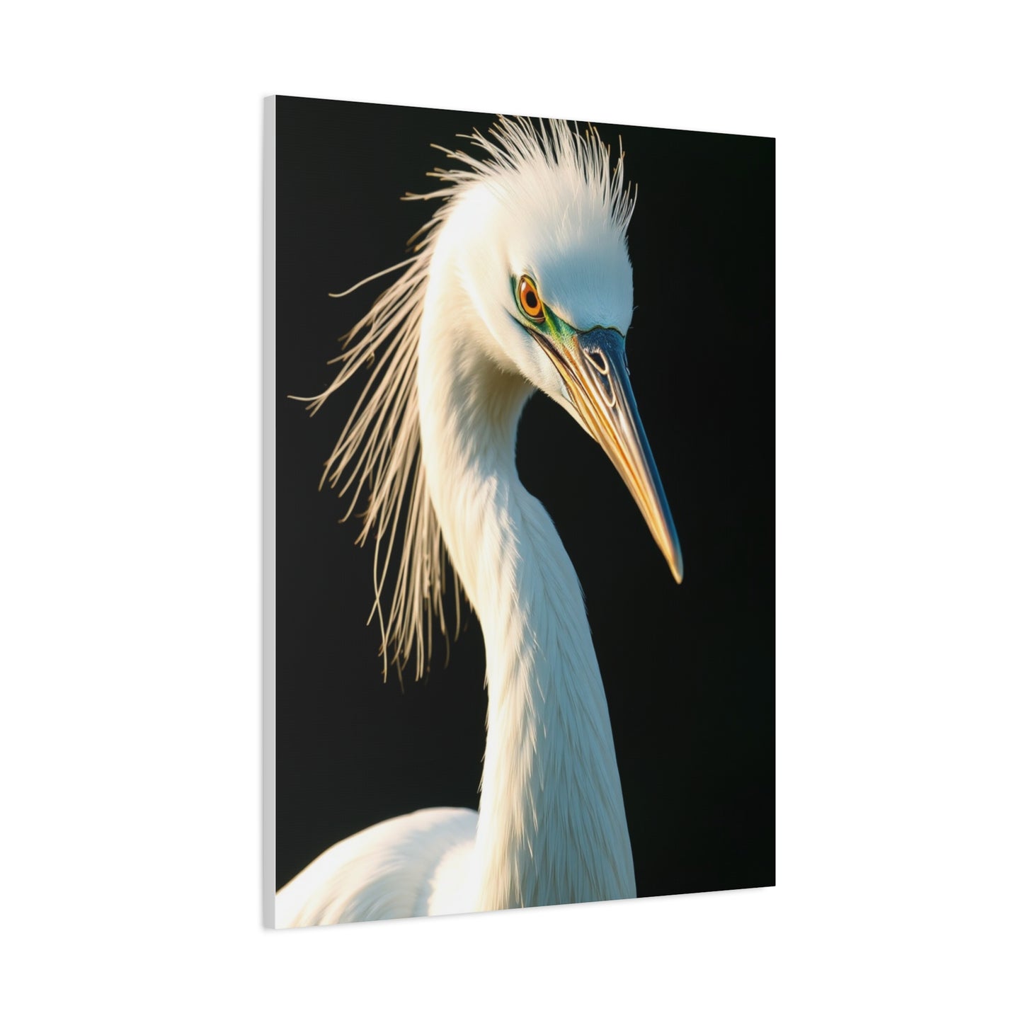 Collection Egret Art Wall Art & Canvas Print