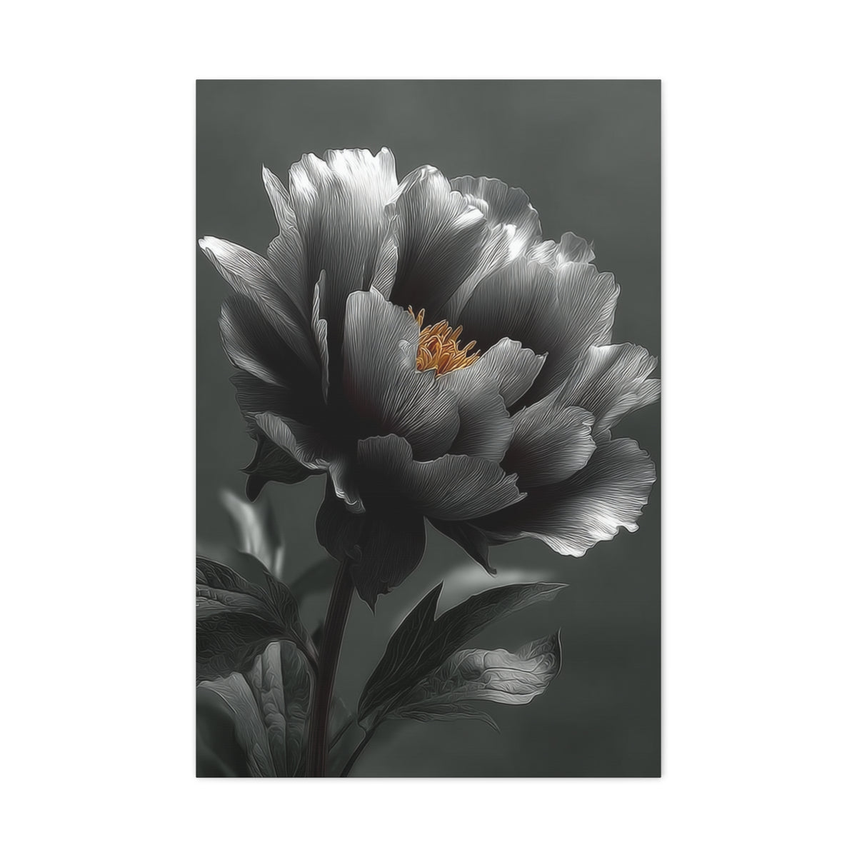 Silver Peony Fine Art Floral Wall Art & Canvas Print