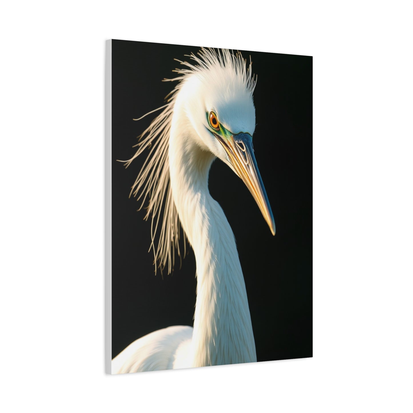 Collection Egret Art Wall Art & Canvas Print