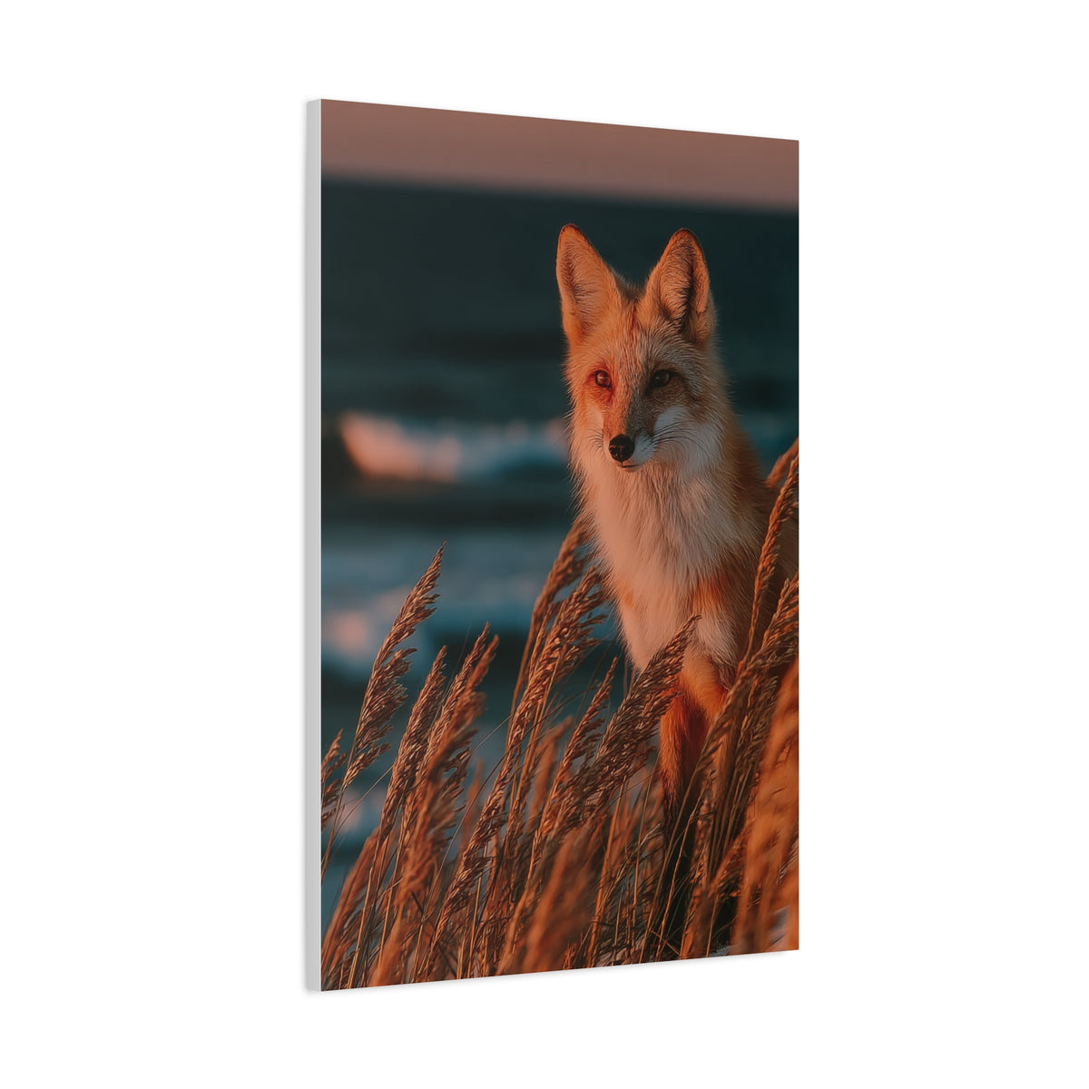 Coastal Dune Fox Golden Hour Wall Art & Canvas Print