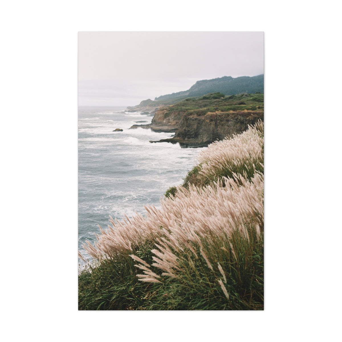 Wind Swept Coastal Cliffs Above the Ocean Wall Art & Canvas Print