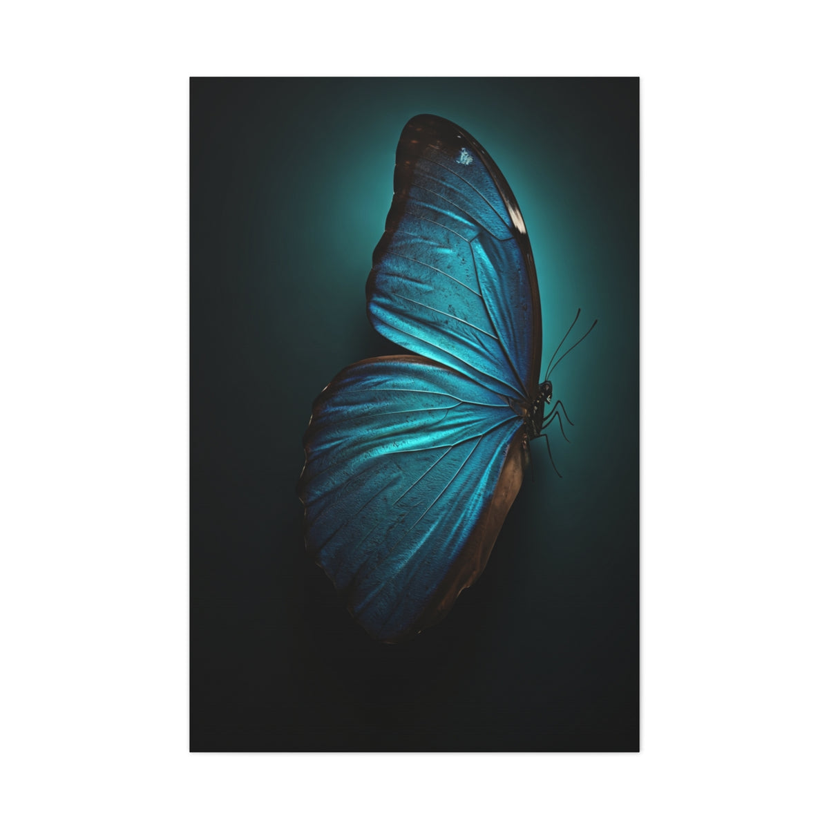 Blue Morpho Butterfly Side Profile Study Wall Art & Canvas Prints