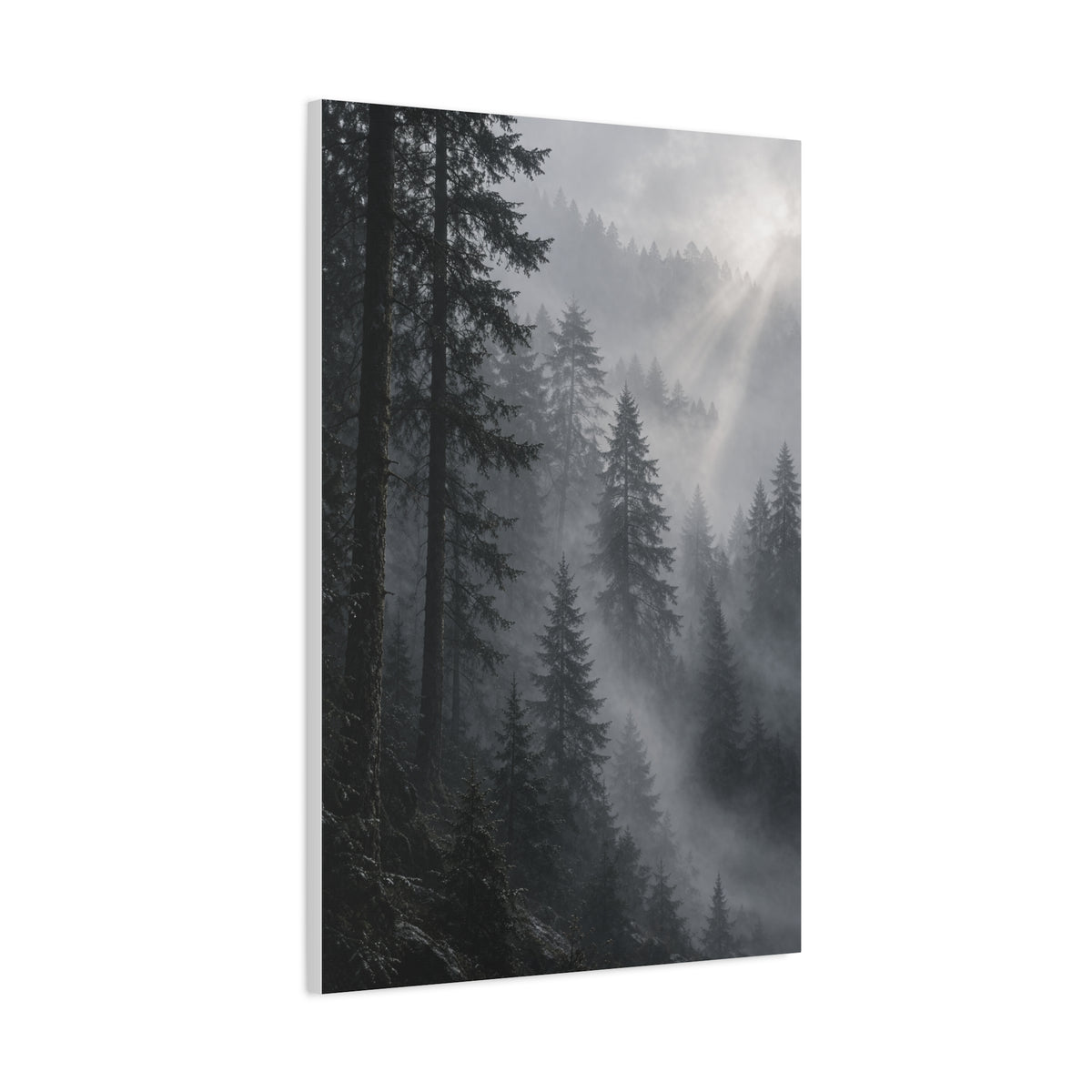 Misty Pine Forest Light Wall Art & Canvas Print